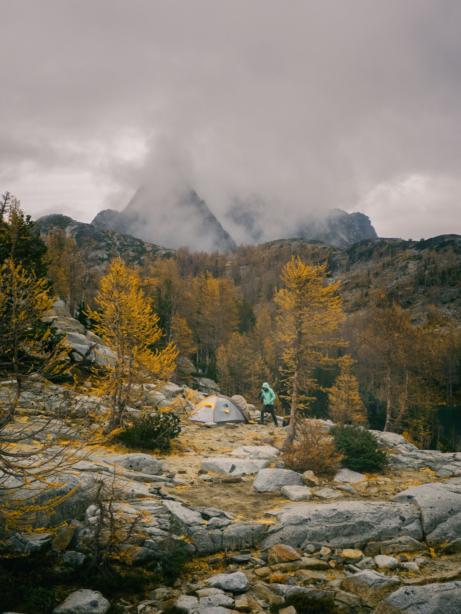 2015-HADLEY-ENCHANTMENTS-TENT-AND-LARCHES.jpg