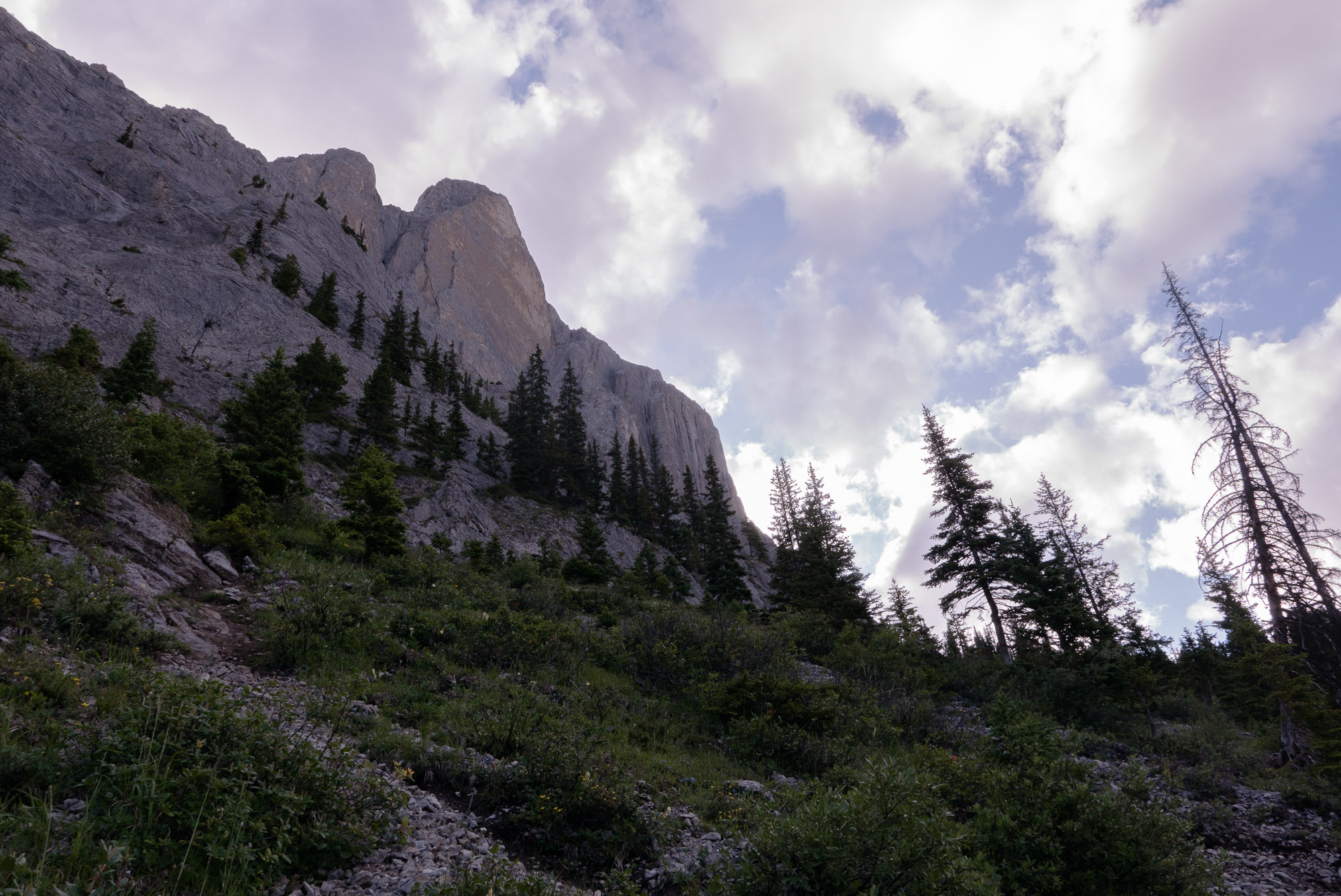 Diamond from approach