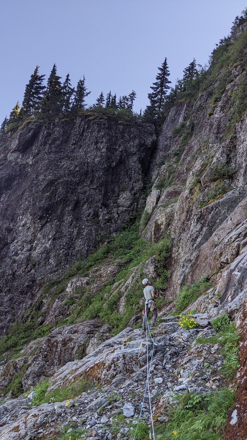 Start of next 3 pitches