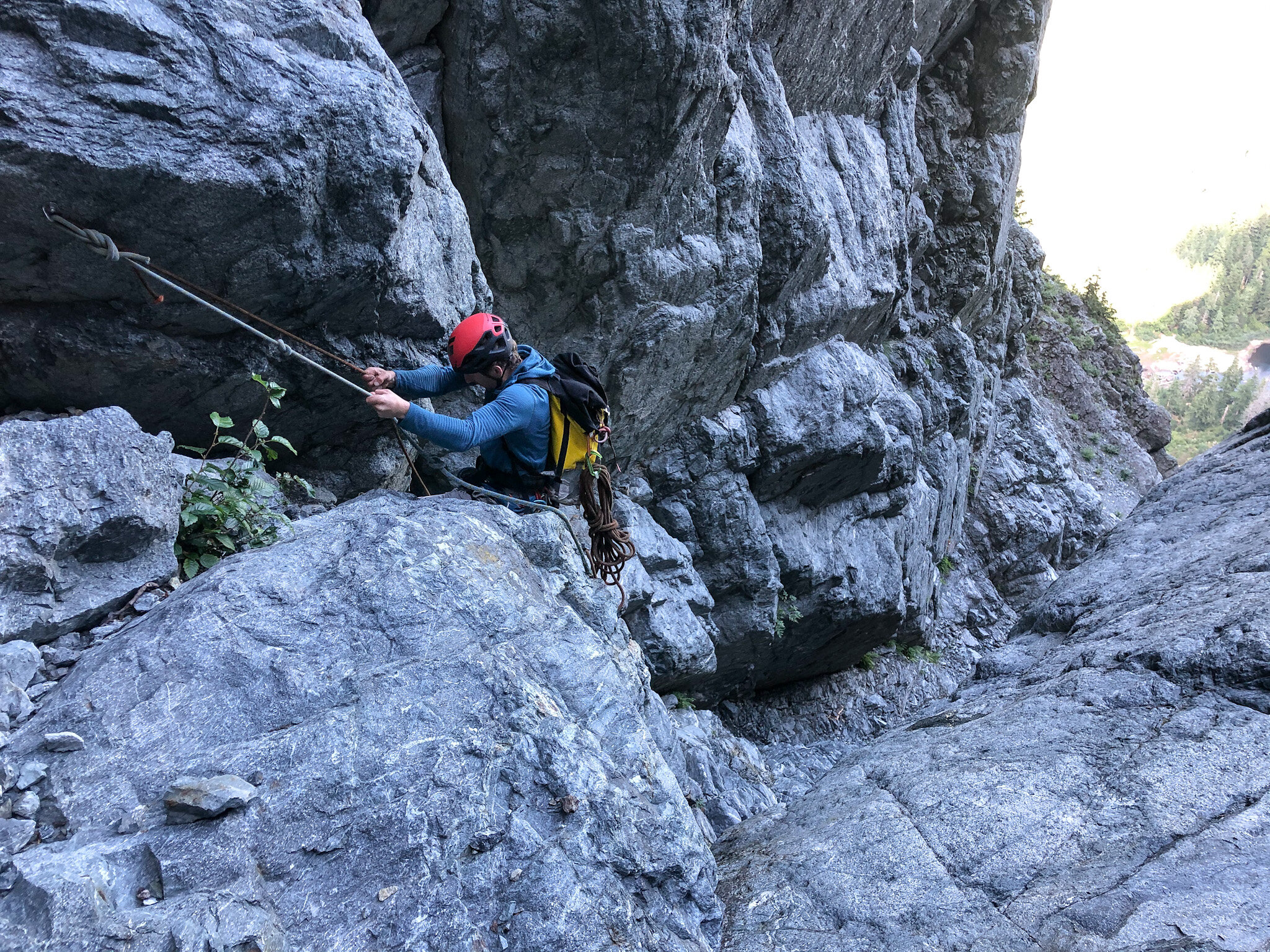 Looking down the gully
